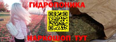 скорость Обь