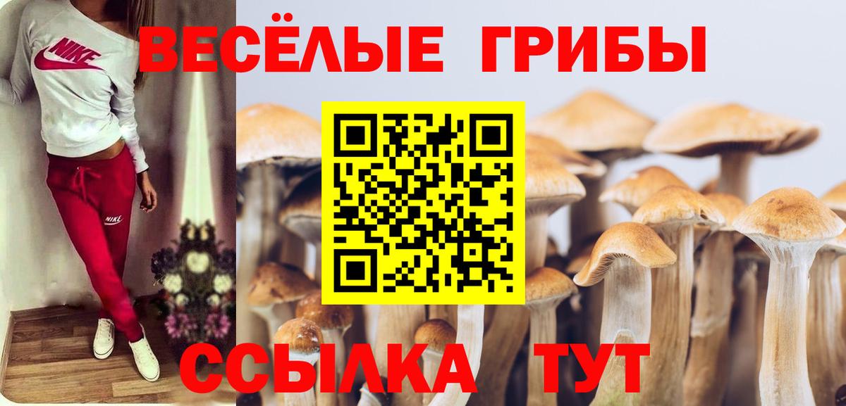 Галлюциногенные грибы Cubensis Ступино